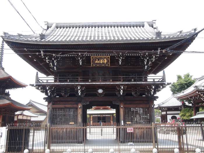 画像に alt 属性が指定されていません。ファイル名: 変換-～-DSC00541.jpg